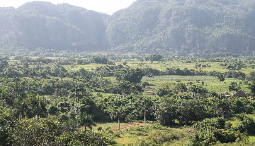 Descubre, explora y sueña