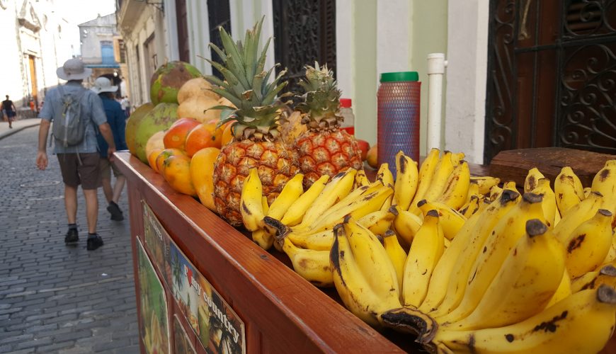 Descubre, explora y sueña